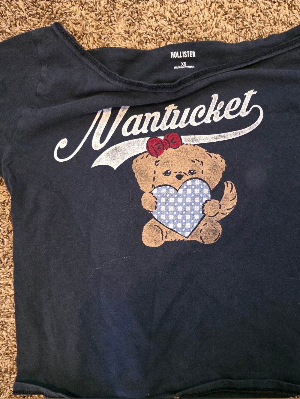 Hollister Navy Teddy Bear Graphic Tee with Blue Heart